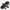 Sportneer Glossy EVA Balance Boards