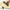 Sportneer Glossy EVA Balance Boards