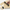 Sportneer Matte Balance Boards